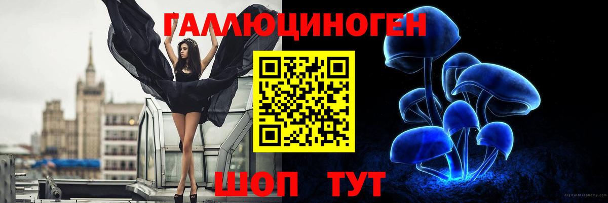 Галлюциногенные грибы Psilocybine cubensis Ростов Великий